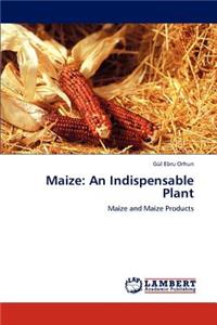 Maize