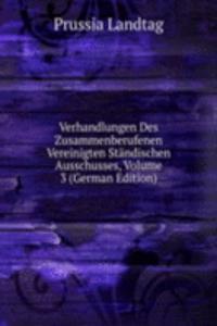 Verhandlungen Des Zusammenberufenen Vereinigten Standischen Ausschusses, Volume 3 (German Edition)