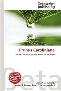 Prunus Caroliniana