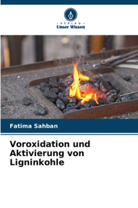 Voroxidation und Aktivierung von Ligninkohle