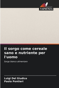 sorgo come cereale sano e nutriente per l'uomo