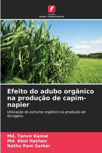 Efeito do adubo orgânico na produção de capim-napier