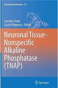 Neuronal Tissue-Nonspecific Alkaline Phosphatase (TNAP)