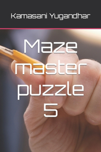 Maze master puzzle 5