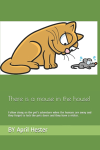 There is a mouse in the house!