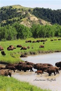 American Buffalo