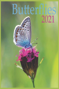 2021 Butterflies