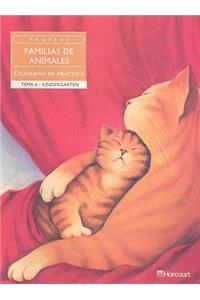 Harcourt School Publishers Trofeos