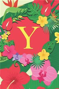 Y