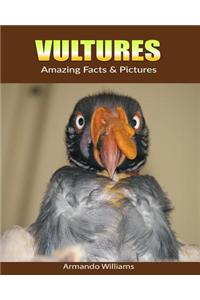 Vultures