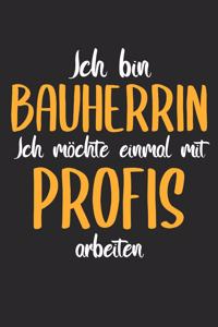 Ich Bin Bauherrin Ich Möchte Einmal Mit Profis Arbeiten