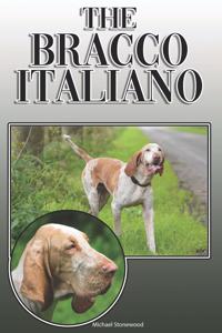 Bracco Italiano