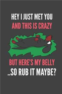 Hey I Just Met You And This Is Crazy But Here's My Belly ..So Rub It Maybe?