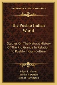 Pueblo Indian World