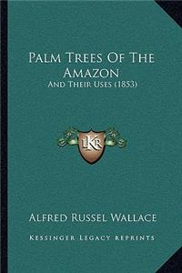 Palm Trees Of The Amazon