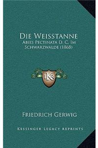 Weisstanne