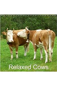 Relaxed Cows 2018