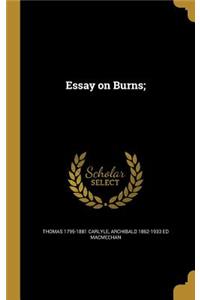 Essay on Burns;