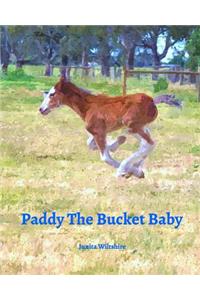 Paddy The Bucket Baby