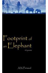 Footprint of an Elephant