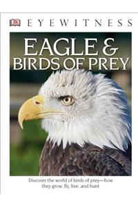 DK Eyewitness Books: Eagle and Birds of Prey
