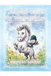 Bridget Goes to the Hospital with illustrations by NickGalifianakis