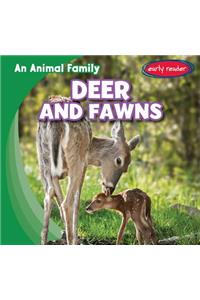 Deer and Fawns