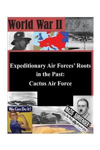 Expeditionary Air Forces' Roots in the Past