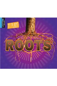 Roots