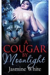 Cougar By Moonlight