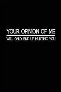 Your Opinion Of Me Will Only End Up Hurting You