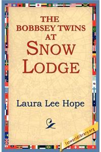 The Bobbsey Twins at Snow Lodge