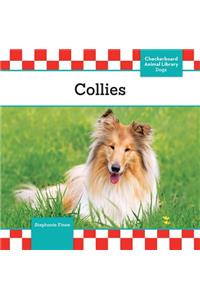 Collies