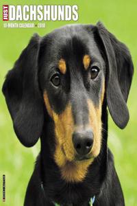 Just Dachshunds 2018 Wall Calendar (Dog Breed Calendar)