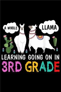 A whole llama learning going on in 3rd Grade