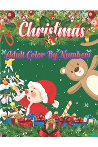Christmas Adult Color By Numbers