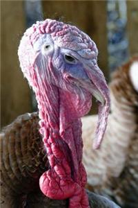 Magnificent Turkey Waddle Journal