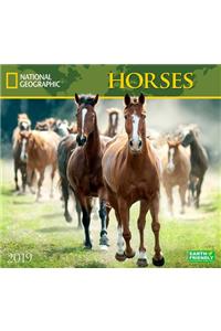 National Geographic Horses 2019 Calendar