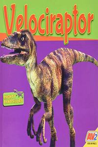 Velociraptor