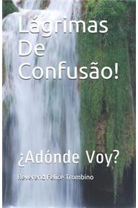 Lágrimas de Confusão!: ¿adónde Voy?