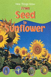 HTG SEED TO SUNFLOWER