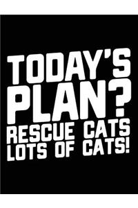 Today's Plan? Rescue Cats Lots of Cats!