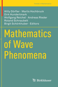 Mathematics of Wave Phenomena