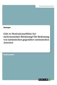 Gibt es Motivationseffekte bei nicht-monetärer Belohnung? Die Bedeutung von intrinsischen gegenüber extrinsischen Anreizen