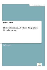 Effizienz sozialer Arbeit am Beispiel der Wohnberatung