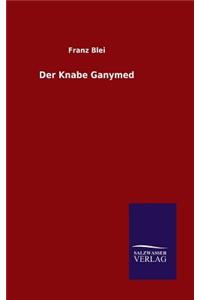 Knabe Ganymed