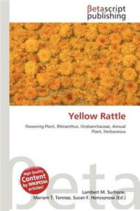 Yellow Rattle