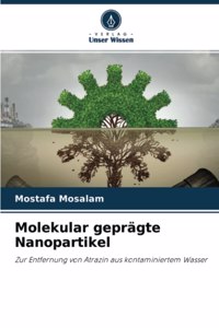 Molekular geprägte Nanopartikel