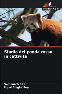 Studio del panda rosso in cattività