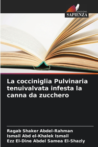 La cocciniglia Pulvinaria tenuivalvata infesta la canna da zucchero